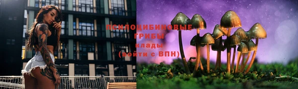 ГАЛЛЮЦИНОГЕННЫЕ ГРИБЫ Володарск