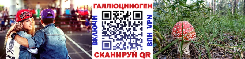 Псилоцибиновые грибы Psilocybine cubensis  Кызыл 